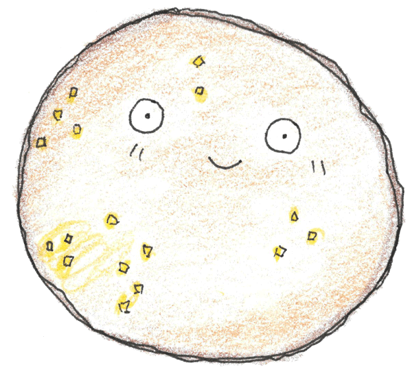 Cookie